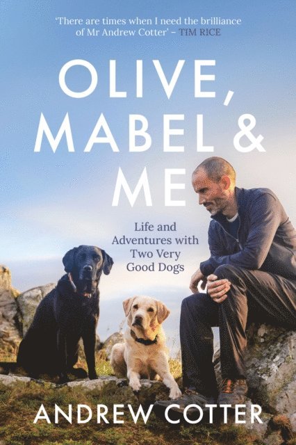 Andrew Cotter - Olive, Mabel & Me, E-bok