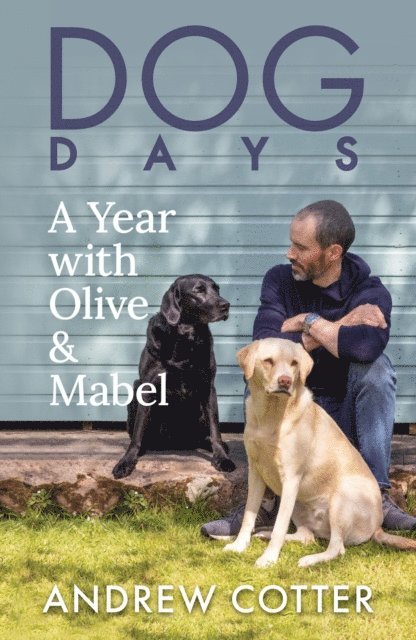 Andrew Cotter - Dog Days, E-bok