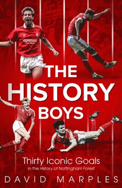 David Marples - History Boys, E-bok