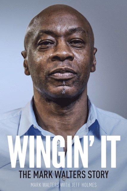Mark Walters, Jeff Holmes - Wingin' It, E-bok