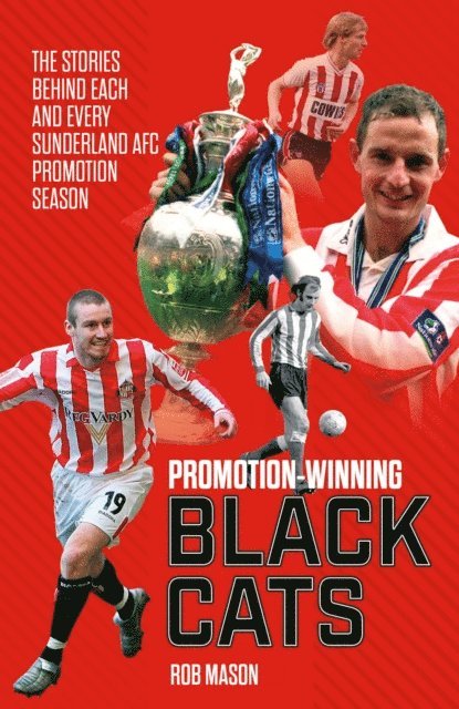 Rob Mason - Promotion Winning Black Cats, E-bok