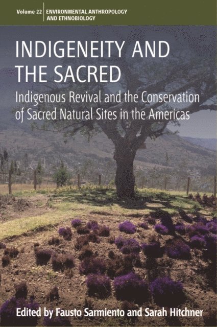 Sarah Hitchner, Fausto Sarmiento - Indigeneity and the Sacred, E-bok