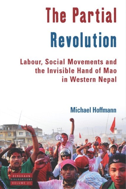 Michael Hoffmann - Partial Revolution, E-bok
