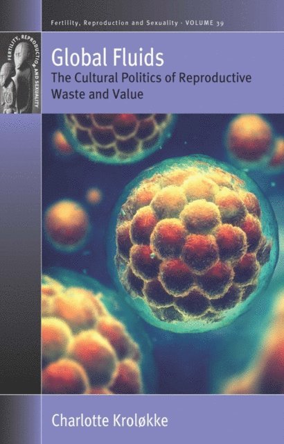 Charlotte Krolokke - Global Fluids, E-bok