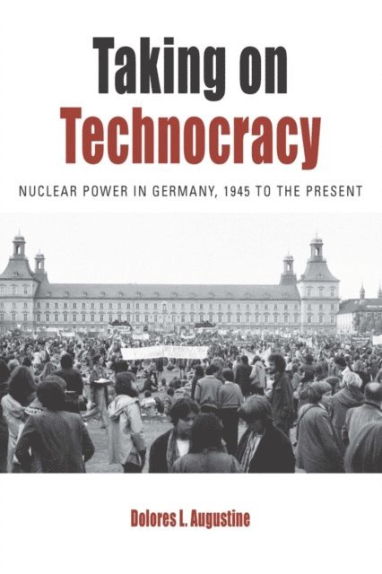 Dolores L. Augustine - Taking on Technocracy, E-bok