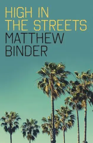 Matthew Binder - High in the Streets, Häftad. Tillgänglighet: Tillfälligt slut