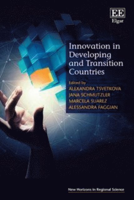 Alessandra Faggian, Marcela Suarez, Jana Schmutzler, Alexandra Tsvetkova - Innovation in Developing and Transition Countries, E-bok