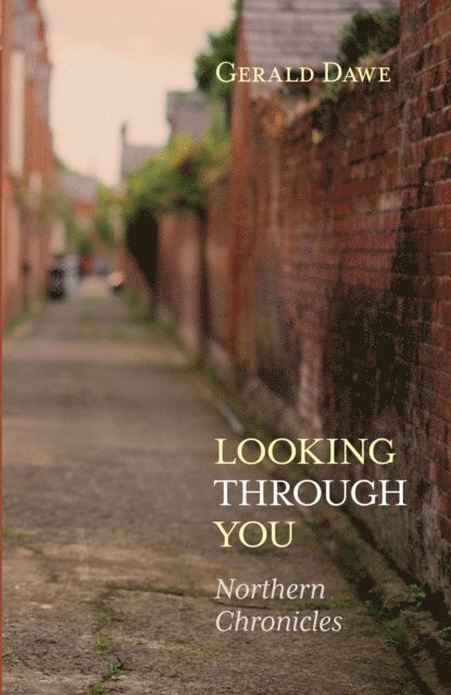 Gerald Dawe - Looking Through You, E-bok