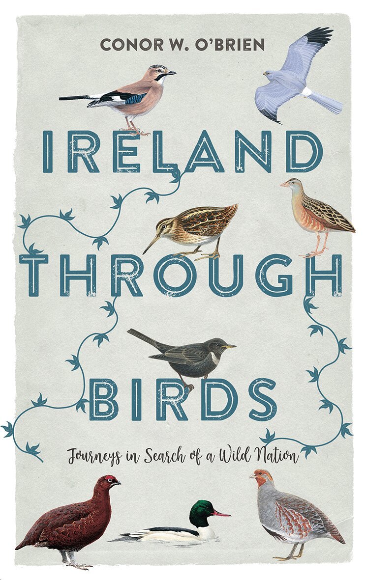 Conor W. O'Brien - Ireland Through Birds, Häftad