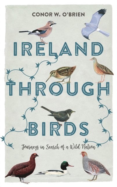 Conor W. O'Brien - Ireland Through Birds, E-bok