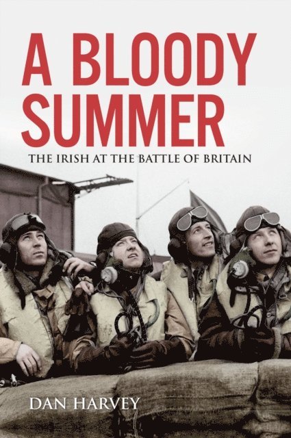 Dan Harvey - Bloody Summer, E-bok