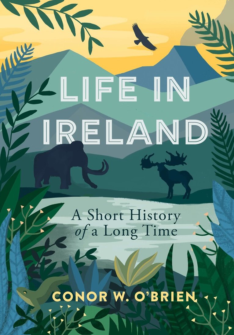 Conor W. O'Brien - Life in Ireland, Häftad