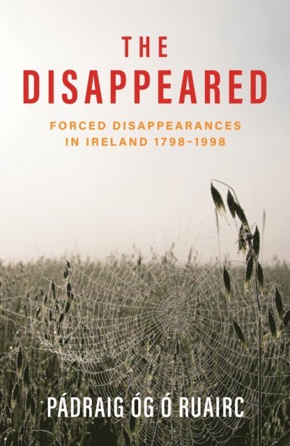Padraig Og O Ruairc - Disappeared, E-bok