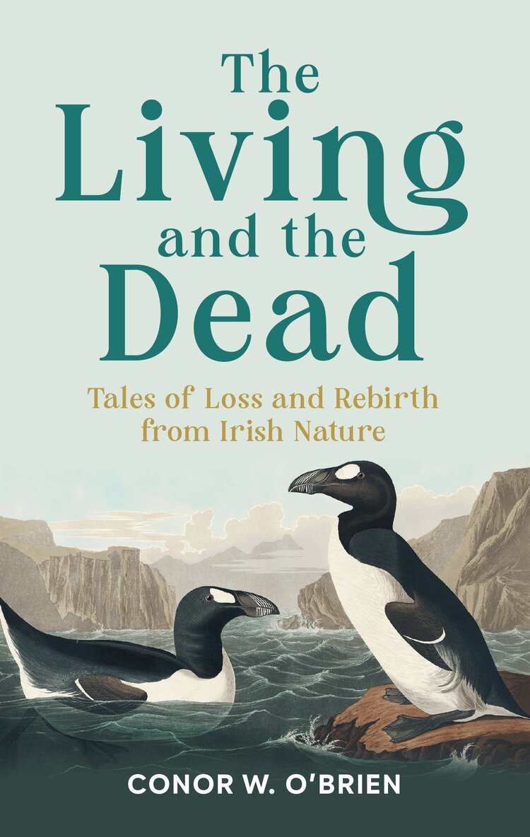 Conor W. O'Brien - The Living and the Dead, Häftad