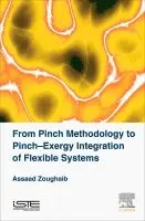Assaad Zoughaib - From Pinch Methodology to Pinch-Exergy Integration of Flexible Systems, Inbunden. Tillgänglighet: Lägg i varukorg
