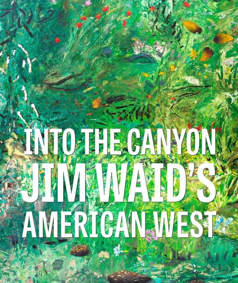 Jeremy Mikolajczak, Andrew J. Walker - Into the Canyon, Inbunden. Tillgänglighet: Kommande
