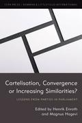 Cartelisation, Convergence or Increasing Similarities?