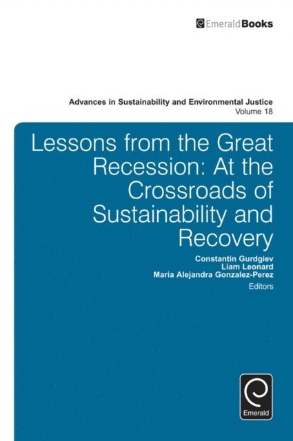 Maria Alejandra Gonzalez-Perez, Liam Leonard, Constantin Gurdgiev - Lessons from the Great Recession, E-bok