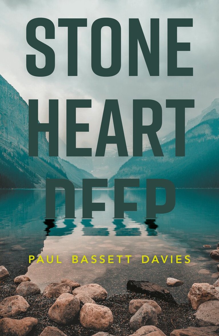 Paul Bassett Davies - Stone Heart Deep, Häftad
