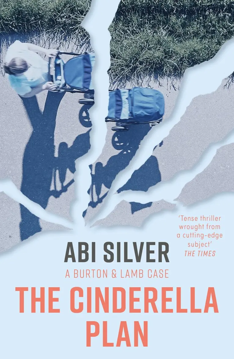 Abi Silver - Cinderella Plan, Häftad. Tillgänglighet: Lägg i varukorg