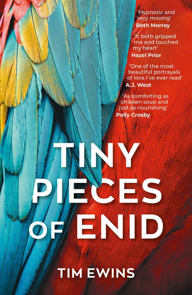 Tim Ewins - Tiny Pieces of Enid, Häftad