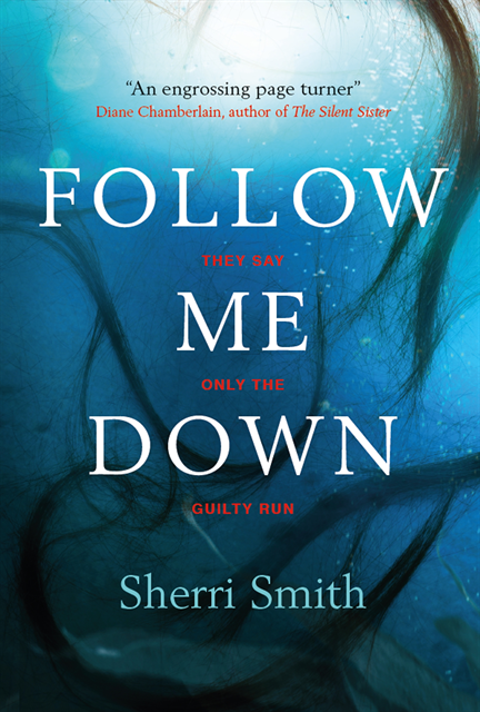 Sherri Smith - Follow Me Down, E-bok