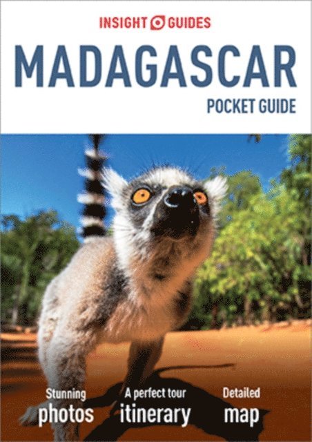 Insight Guides - Insight Guides Pocket Madagascar (Travel Guide eBook), E-bok