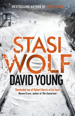 David Young - Stasi Wolf, Häftad
