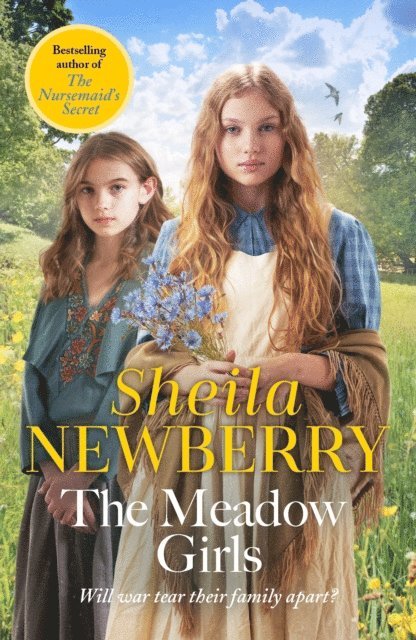 Sheila Newberry - Meadow Girls, E-bok