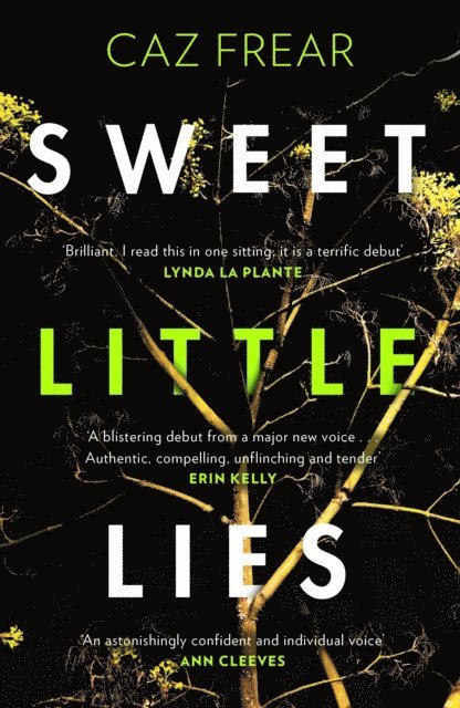 Caz Frear - Sweet Little Lies, E-bok
