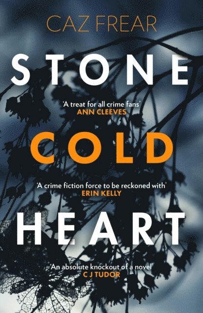 Caz Frear - Stone Cold Heart, E-bok
