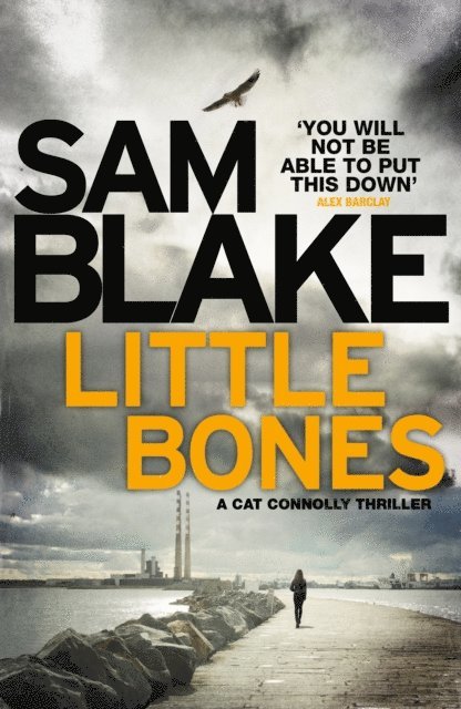 Sam Blake - Dressmaker, E-bok