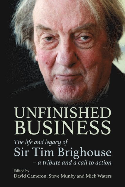 David Cameron, Steve Munby, Mick Waters - Unfinished Business, E-bok