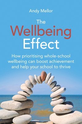 Andy Mellor - Wellbeing Effect, Häftad