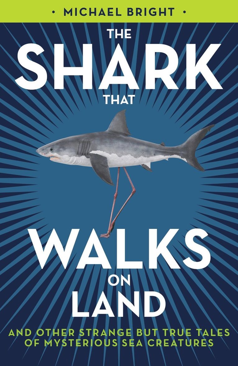 Shark That Walks on Land