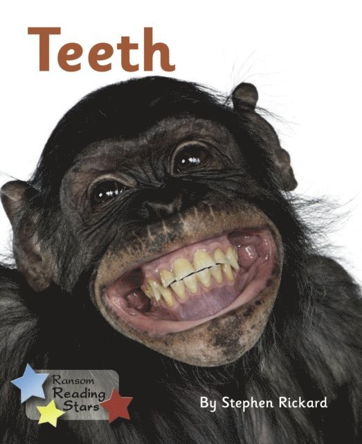 Stephen Rickard - Teeth, E-bok