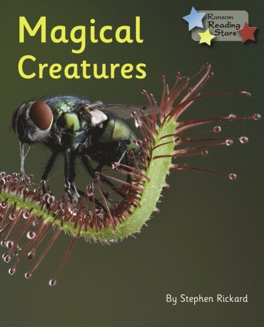 Stephen Rickard - Magical Creatures, E-bok