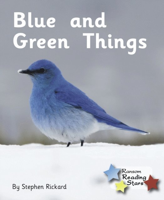 Stephen Rickard - Blue and Green Things, E-bok