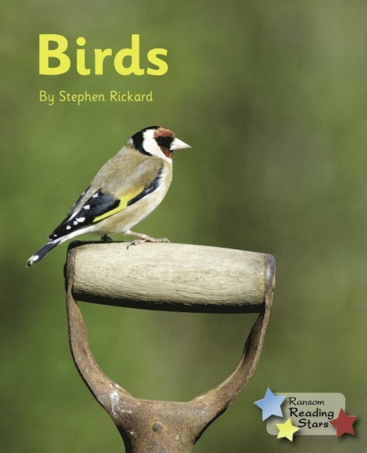Stephen Rickard - Birds, E-bok