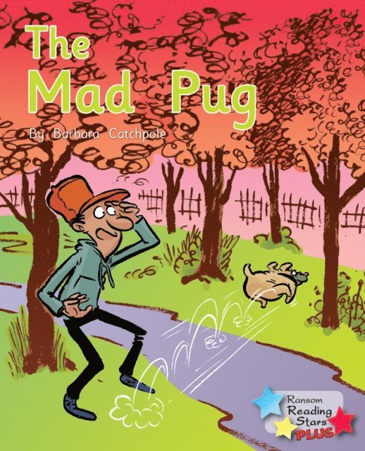 Barbara Catchpole - Mad Pug, E-bok