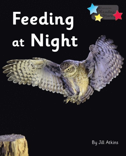Jill Atkins - Feeding at Night, E-bok