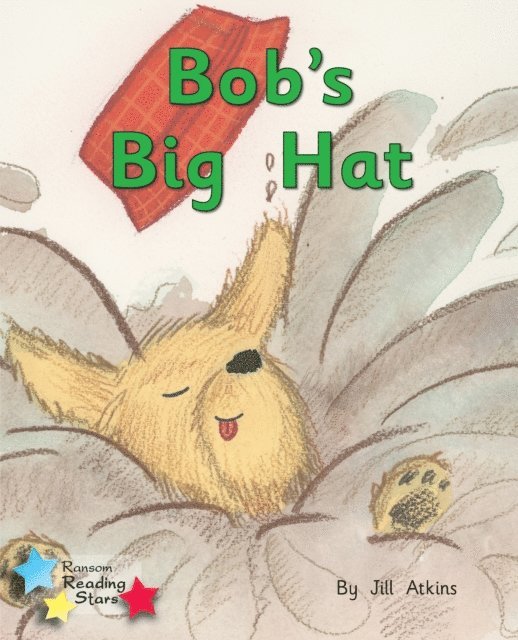 Jill Atkins - Bob and the Hat, E-bok