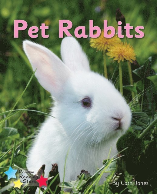 Cath Jones - Pet Rabbits, E-bok