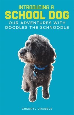 Cherryl Drabble - Introducing a School Dog, Häftad