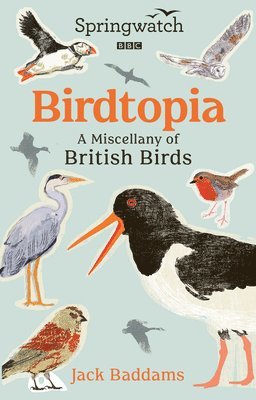 Jack Baddams - Springwatch: Birdtopia, Inbunden