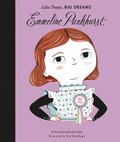 Emmeline Pankhurst: Volume 8