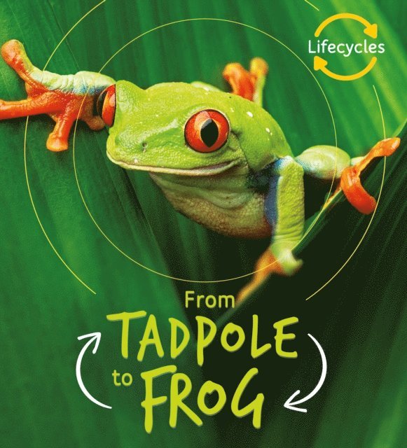 Camilla de la Bedoyere - Lifecycles: Tadpole to Frog, E-bok