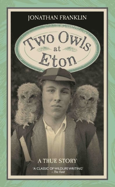 Jonathan Franklin - Two Owls at Eton - A True Story, E-bok. Tillgänglighet: Lägg i varukorg