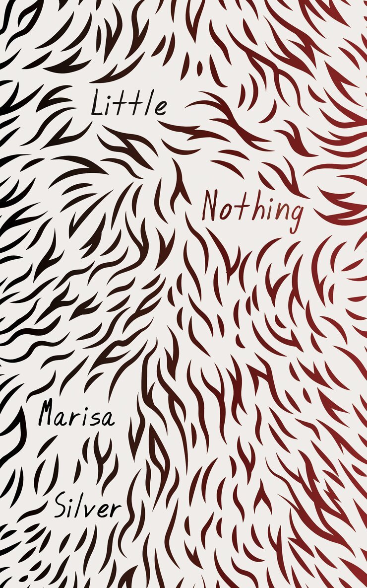Marisa Silver - Little Nothing, E-bok