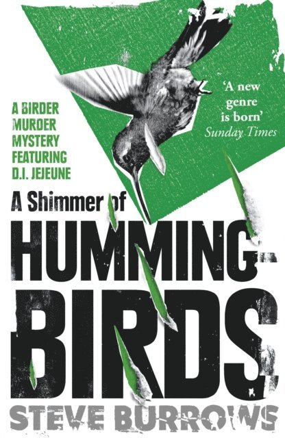 Steve Burrows - Shimmer of Hummingbirds, E-bok